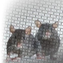 Overtreden Verslijten altijd Fijn makkelijk buigzaam muizen en ratten ongedierte gaas kopen?