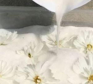 Poudre de fleurs au gel de silice dans un seau de séchage scellable spécial pour fleurs et brosse GRATUITE - 3 kg